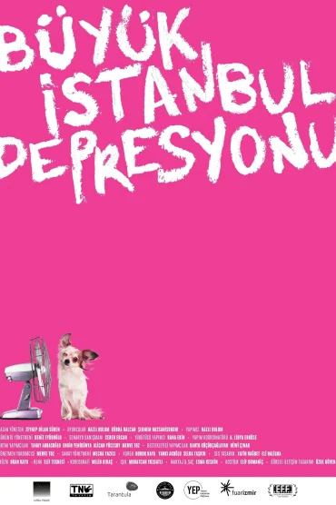 The Great Istanbul Depression